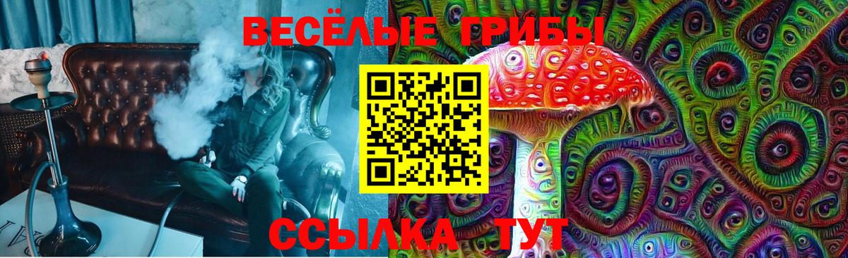 Галлюциногенные грибы GOLDEN TEACHER Дубна